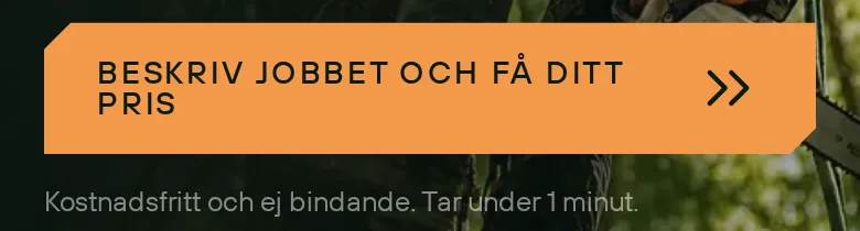 Exempel på orientering från Trädfällning STHLM