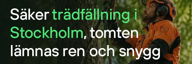 Exempel på relevans från Trädfällning STHLM