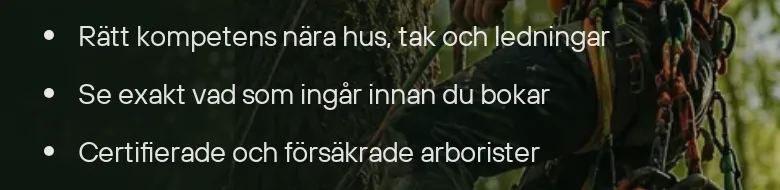Exempel på stimulans från Trädfällning STHLM
