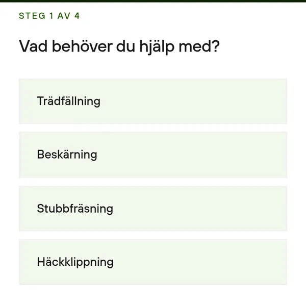 Formulärets första steg
