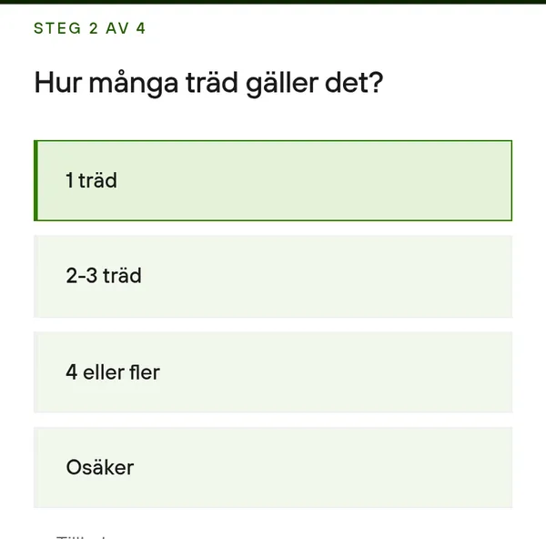 Formulärets andra steg